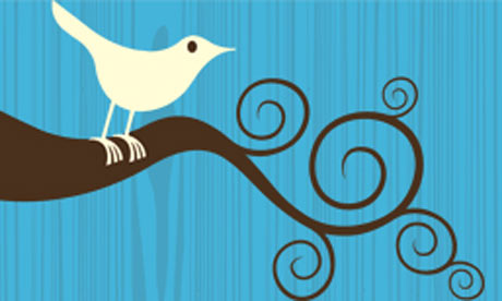 twitter bird & brand