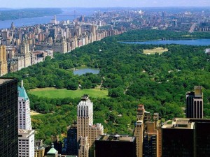 central-park-new-york-wallpaper