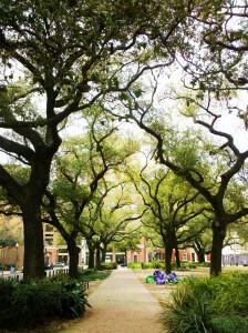 Lafayette Square, Warehouse District, New Orleans